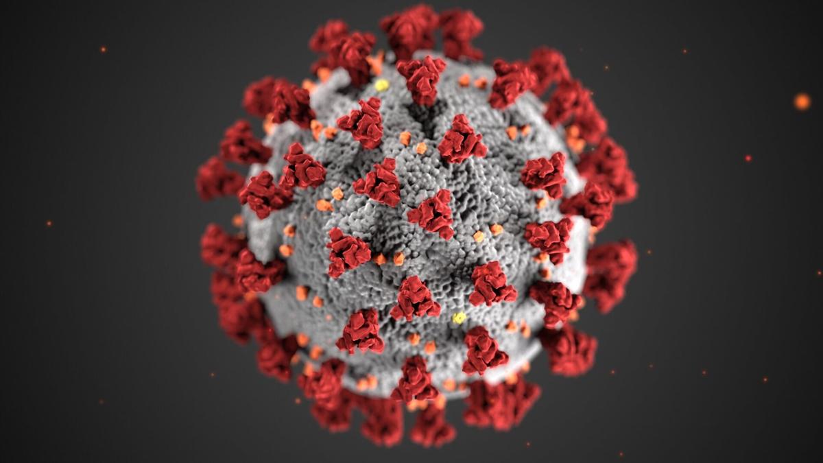 Virginia sees 7,245 new coronavirus cases, now reporting 446,550 statewide