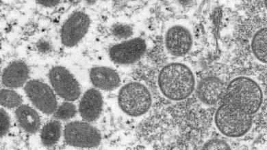What college students should know about monkeypox as they return to campus