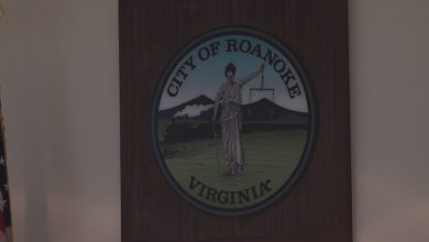 Roanoke City Council voted in favor of a 5 million budget
