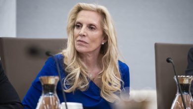Lael Brainard and Jared Bernstein hired by president Biden, part of his economic team
