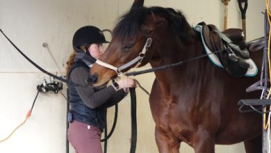 It’s all about education and horsemanship: Chatham Hall, who has around 20 high schoolers in the program, was named a Recognized Riding Academy
