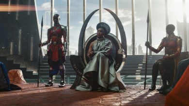 “Black Panther: Wakanda Forever” is “false and misleading”, France’s defense minister has said
