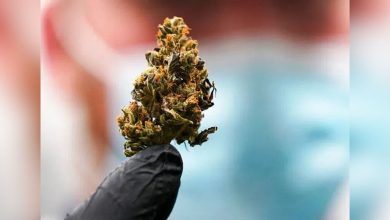 New Virginia regulations pose challenges for local hemp businesses