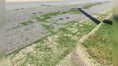 Vinton police: Grass clippings on roads are a Class 1 Misdemeanor