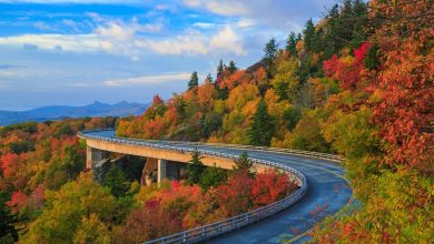 Road maintenance and closure updates for Blue Ridge Parkway