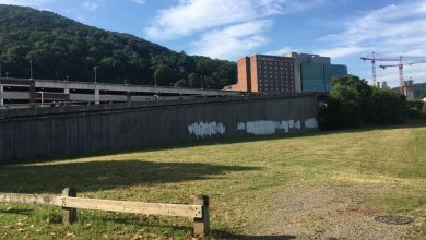 Roanoke residents invited to assist in summer mural project
