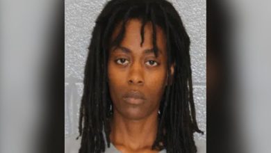 8-year-old-girl dies after being found foaming at the mouth by her mother, who left her in a car during hot weather while at work