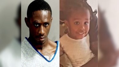 Ex-boyfriend kidnapped and strangled his partner’s 2-year-old daughter with a charging cord after an altercation with the woman where he stabbed and indecently attacked her; pleads guilty