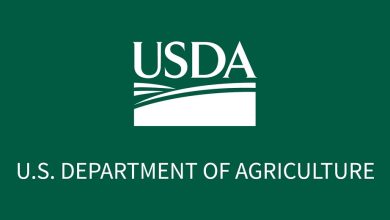 Emergency loans available for Virginia farmers affected by severe drought