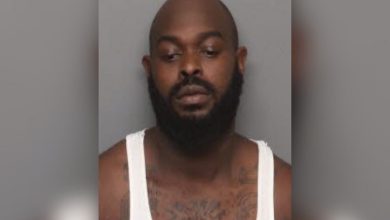 Pregnant woman was with her friends when her ex-boyfriend showed up and punched her in the face before stabbing her repeatedly with a kitchen knife in a series of violent attacks over the summer