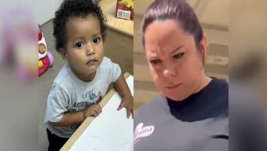 1-year-old boy died after his babysitter left him in the care of her 13-year-old daughter only for her dogs to set upon the toddler in a vicious attack as soon as she left the premises; babysitter arrested
