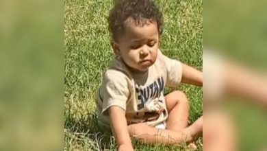 11-month-old boy died after his older brother grabbed a loaded long gun from the back of the vehicle, pulled the trigger, and shot him in the head; parents might face charges
