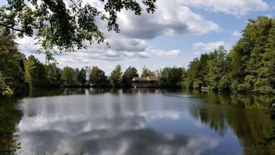 Public meeting to discuss Lake Anna State Park Master Plan update scheduled for this week