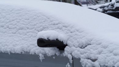 Virginia residents advised to delay travel as winter storm brings more snowfall