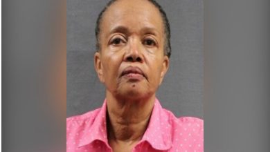 76-year-old woman, who shot her 38-year-old son in the stomach as soon as he returned from a calm-down walk following an argument they had about him getting to loud while playing games, was arrested