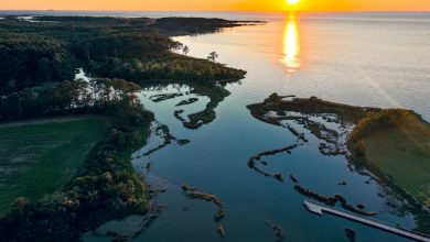 Virginia sets new record with over 0 million dedicated to helping farmers protect natural resources