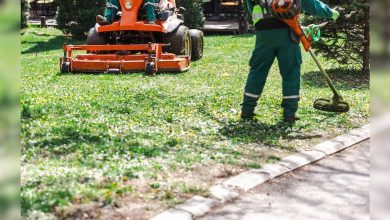 City of Roanoke announces vegetation removal work on Gus Nicks Boulevard on August 25 with lane closures expected during the day