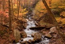 Roanoke relies on daily votes to remain number one for the Best Destination for Fall Colors title