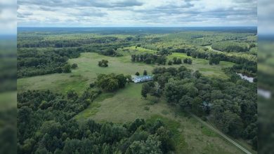Virginia Department of Conservation and Recreation advances plans for Falkland conservation and recreation area