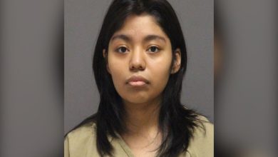 2-year-old boy hospitalized with “a stab wound to his chest” after his 20-year-old sister tried to kill him while inside their home; sister arrested 2-year-old boy hospitalized with “a stab wound to his chest” after his 20-year-old sister tried to kill him while inside their home; sister arrested