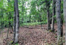 Virginia creates new natural area preserve to protect rare millipede species found only in Montgomery County
