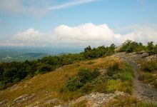 Buffalo Mountain Natural Area Preserve expands by nearly one thousand acres to protect rare species and enhance outdoor access