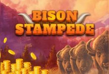 Fredericksburg woman wins over 0,000 while playing Bison Stampede online game