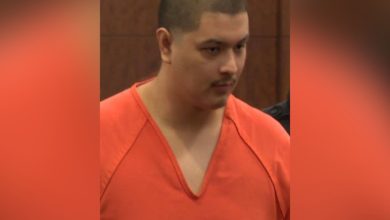 23-year-old father snapped because his premature twins wouldn’t stop crying throughout the night so he violently shook and beat the babies to death; sentenced