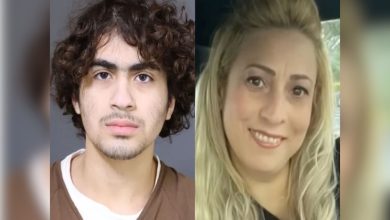 Teenager, who stabbed his mother over 40 times while she held her 14-day-old daughter and then sent pictures of the body to an online friend, pleaded guilty