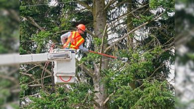 City of Roanoke to conduct roadside maintenance along Plantation Road causing temporary traffic disruption