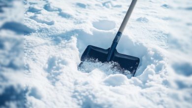 Roanoke reminds residents to help keep sidewalks safe and accessible after snowfall Roanoke reminds residents to help keep sidewalks safe and accessible after snowfall